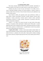 Verslo planas: kepykla IĮ "Šildona" 11 puslapis