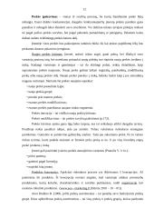 Verslo planas: kepykla IĮ "Šildona" 12 puslapis