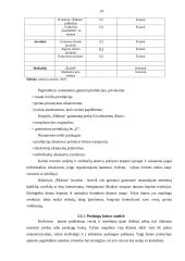 Verslo planas: kepykla IĮ "Šildona" 14 puslapis