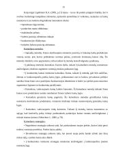 Verslo planas: kepykla IĮ "Šildona" 15 puslapis