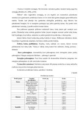 Verslo planas: kepykla IĮ "Šildona" 16 puslapis