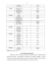 Verslo planas: kepykla IĮ "Šildona" 17 puslapis