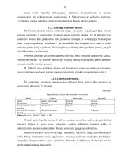 Verslo planas: kepykla IĮ "Šildona" 20 puslapis