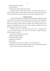 Verslo planas: kepykla IĮ "Šildona" 9 puslapis