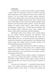 Termoterapija 3 puslapis