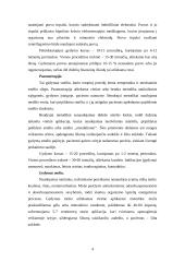 Termoterapija 4 puslapis