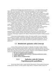 Buhalterinės apskaitos charakteristika 3 puslapis