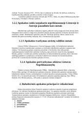 Buhalterinės apskaitos charakteristika 4 puslapis