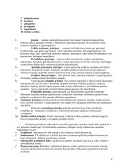 Buhalterinės apskaitos charakteristika 5 puslapis