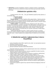 Buhalterinės apskaitos charakteristika 6 puslapis