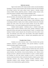 Draudimo sutartis 3 puslapis