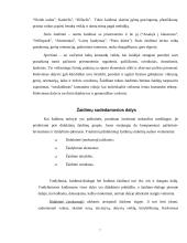 Tradiciniai vaikų žaidimai 7 puslapis