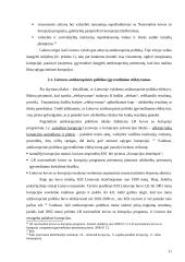 Antikorupcinės politikos įgyvendinimo efektyvumas 11 puslapis