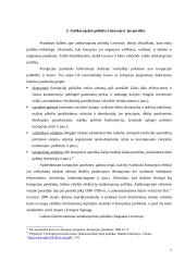 Antikorupcinės politikos įgyvendinimo efektyvumas 7 puslapis