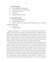 Darbuotojų bendradarbiavimo kultūra 12 puslapis
