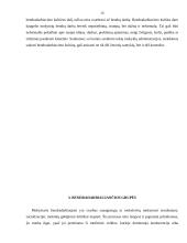Darbuotojų bendradarbiavimo kultūra 14 puslapis