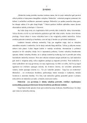 Lietuvos Respublikos mokesčių sistema 2 puslapis