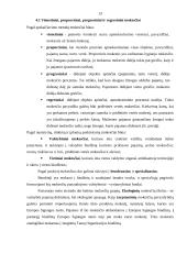 Lietuvos Respublikos mokesčių sistema 13 puslapis