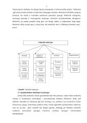 Lietuvos Respublikos mokesčių sistema 5 puslapis