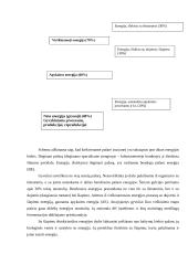 Pašarininkystė: šienainis 12 puslapis