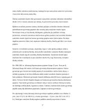 Skurdo lygio raida Lietuvoje 17 puslapis