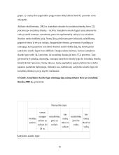 Skurdo lygio raida Lietuvoje 19 puslapis