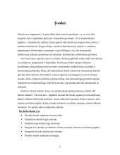 Skurdo lygio raida Lietuvoje 3 puslapis