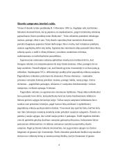 Skurdo lygio raida Lietuvoje 4 puslapis