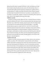 Skurdo lygio raida Lietuvoje 8 puslapis