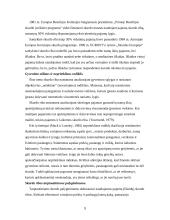 Skurdo lygio raida Lietuvoje 9 puslapis