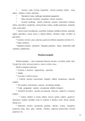 Aplinka vaikų darželyje 11 puslapis