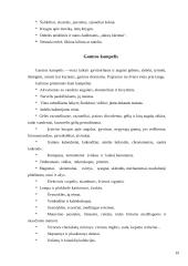 Aplinka vaikų darželyje 12 puslapis