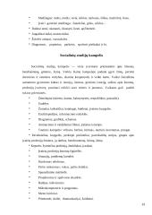 Aplinka vaikų darželyje 13 puslapis