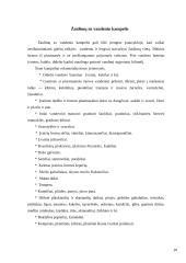 Aplinka vaikų darželyje 15 puslapis