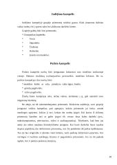 Aplinka vaikų darželyje 16 puslapis