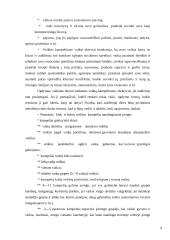 Aplinka vaikų darželyje 3 puslapis