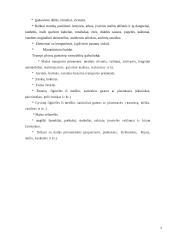 Aplinka vaikų darželyje 7 puslapis