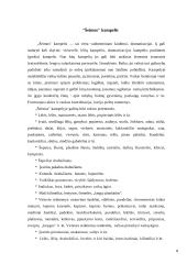 Aplinka vaikų darželyje 8 puslapis