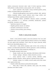 Aplinka vaikų darželyje 10 puslapis