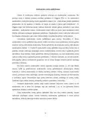 Apskaita pagal atsakomybės centrus 6 puslapis