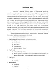 Apskaita pagal atsakomybės centrus 7 puslapis