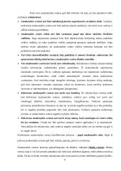 Apskaita pagal atsakomybės centrus 8 puslapis