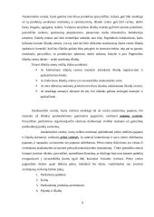 Apskaita pagal atsakomybės centrus 9 puslapis