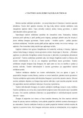 Tautinio auklėjimo esmė 3 puslapis