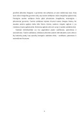 Tautinio auklėjimo esmė 4 puslapis