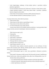 Įmonės (organizacijos) vidinės aplinkos struktūros pokyčių įtakos jos veiklos rezultatams modelis 11 puslapis