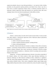 Įmonės (organizacijos) vidinės aplinkos struktūros pokyčių įtakos jos veiklos rezultatams modelis 15 puslapis