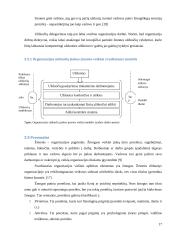 Įmonės (organizacijos) vidinės aplinkos struktūros pokyčių įtakos jos veiklos rezultatams modelis 17 puslapis