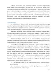 Įmonės (organizacijos) vidinės aplinkos struktūros pokyčių įtakos jos veiklos rezultatams modelis 20 puslapis