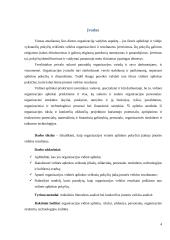 Įmonės (organizacijos) vidinės aplinkos struktūros pokyčių įtakos jos veiklos rezultatams modelis 4 puslapis